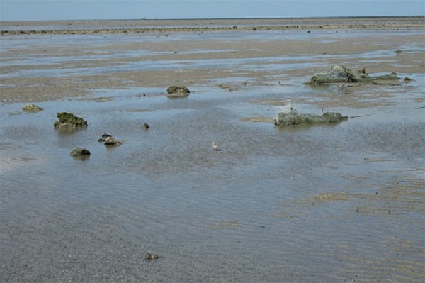 Narara marine park