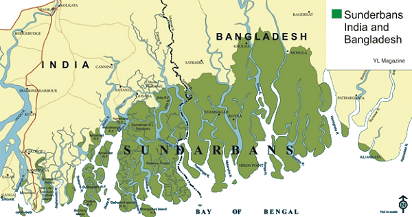 Sundarban delta