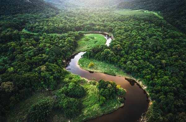 The Amazon Rainforest