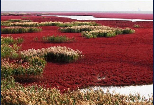 Red Beach