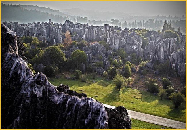 Shilin Stone Forest China Will Take You By Surprise Take An
