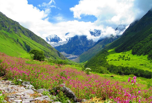 Valley of Flower