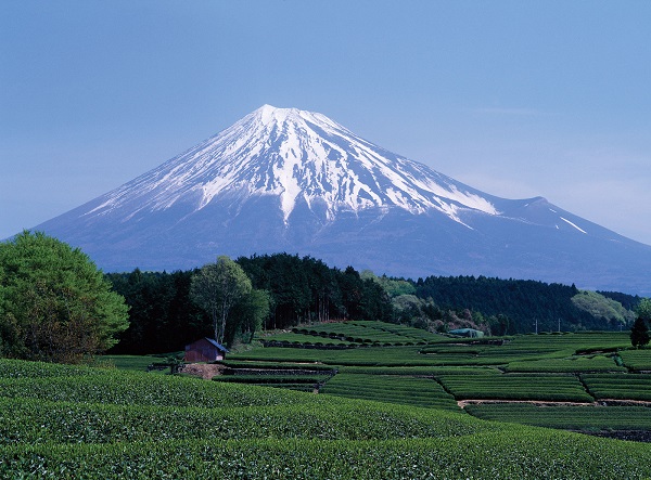 Mount Fuji