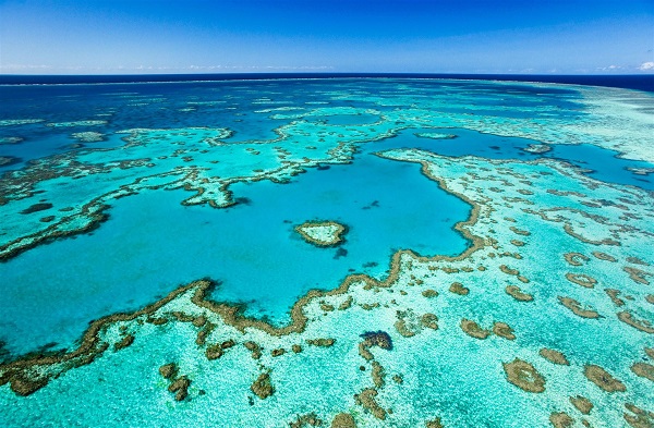 The great barrier reef