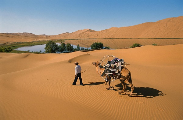 Gobi Desert