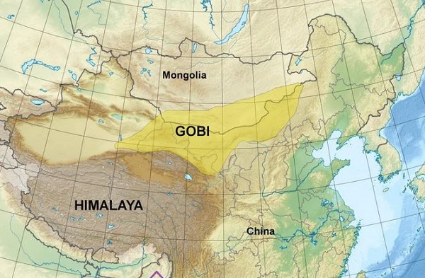 Gobi desert