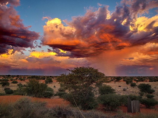 Kalahari desert