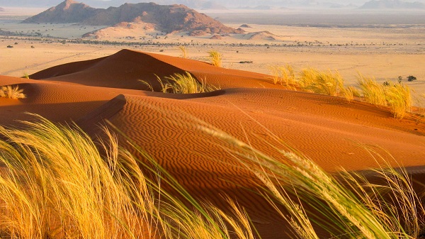 Kalahari Desert