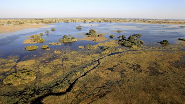 Kalahari Desert