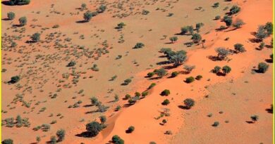 Kalahari desert