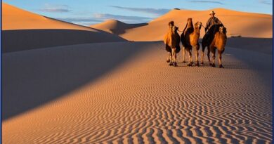 Gobi desert