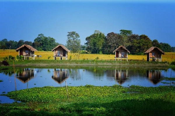 Majuli island