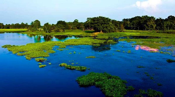 Majuli island