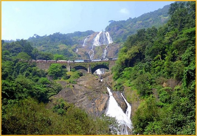 This viral video of Goa's Dudhsagar Falls will make you want to leave  everything and go there - India Today