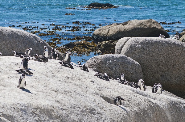 Granite Boulder beach