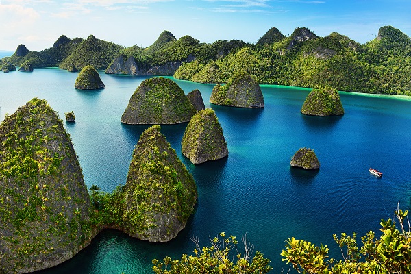 The Raja Ampat