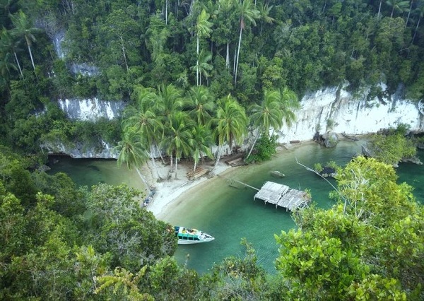 The Raja Ampat