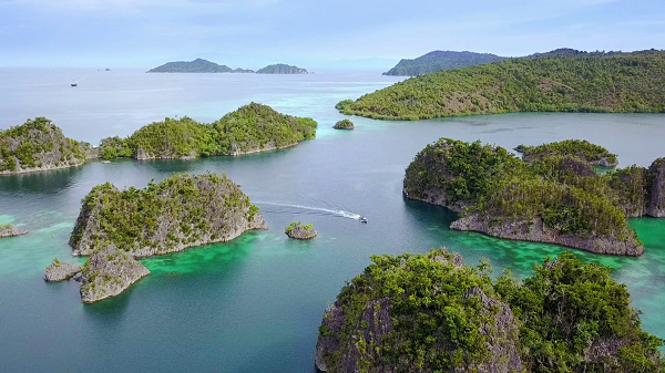 The Raja Ampat