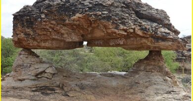 Oravakallu rock garden