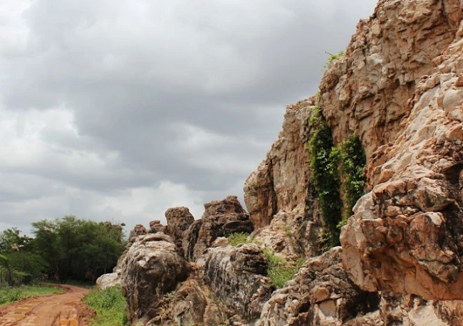 Oravakallu rock garden