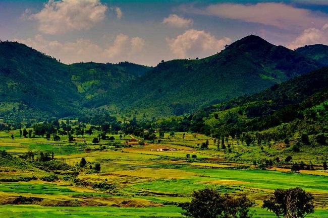 Araku Valley