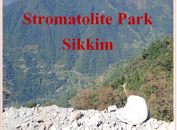 stromatolite fossil park