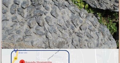 Bhojunda Stromatolite park