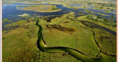 The Okavango delta