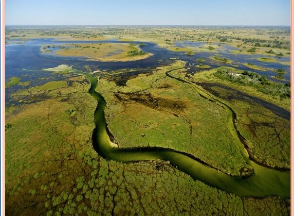 The Okavango delta