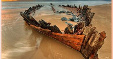 The Skeleton coast