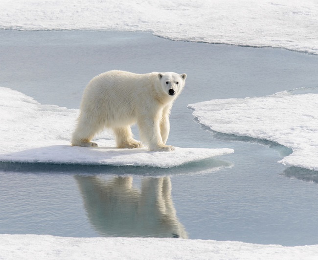 Spitsbergen island