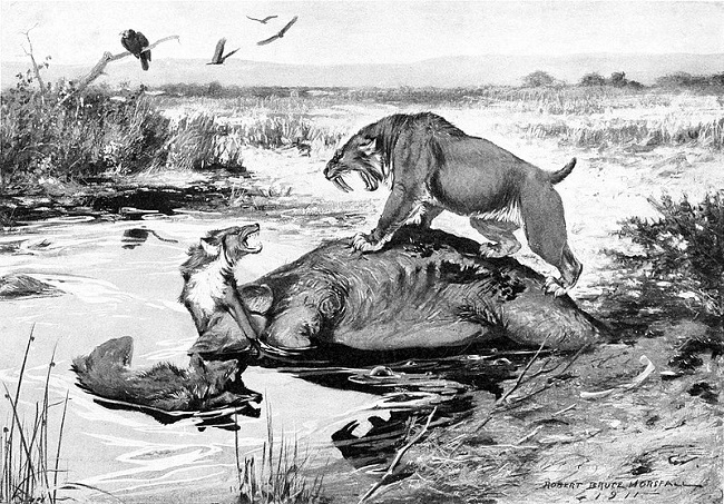 The La Brea Tar Pits