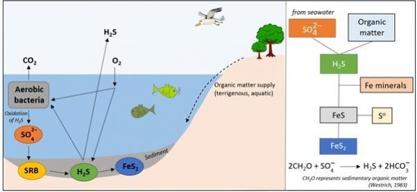 Geochemistry of Sulfur in Petroleum exploration - Geotourism