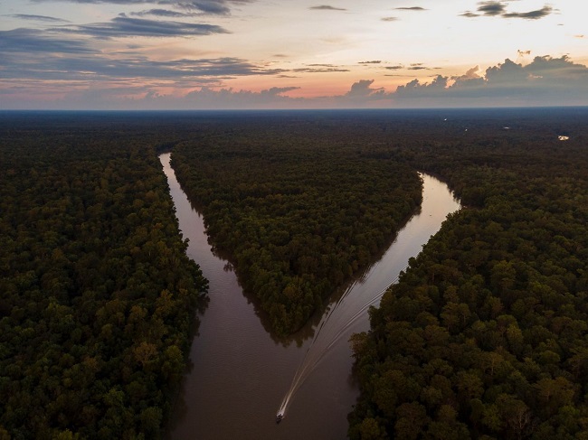 The Mississippi river delta