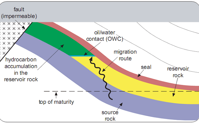 Petroleum Geology