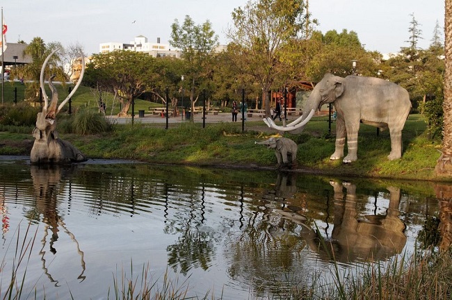 The La Brea Tar Pits