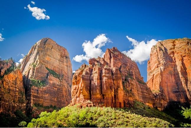 Zion national park 