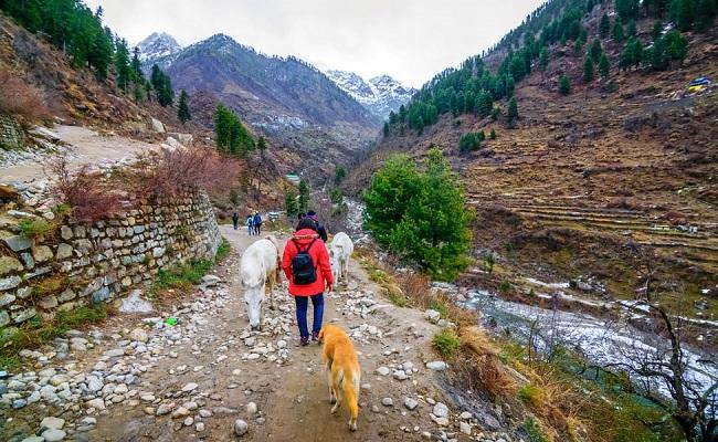 Kasol India