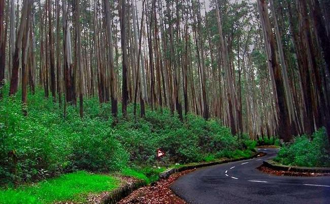 Kodaikanal Hill station