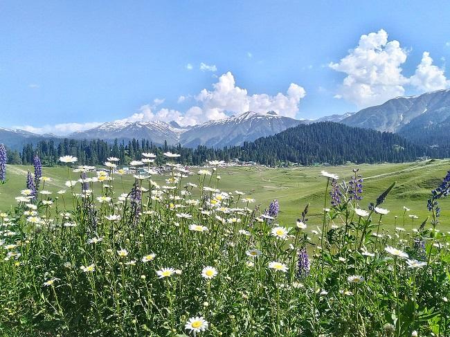 Gulmarg Kashmir