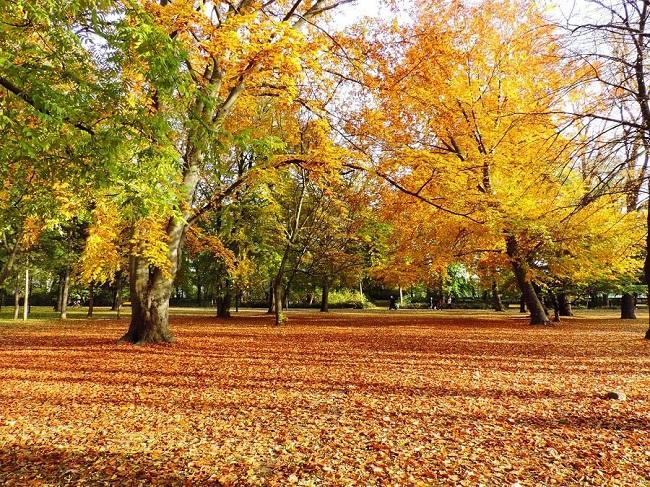 Best Autumn destination