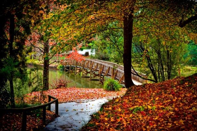 Best Autumn destination