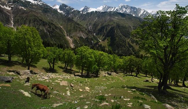 Gulmarg Kashmir