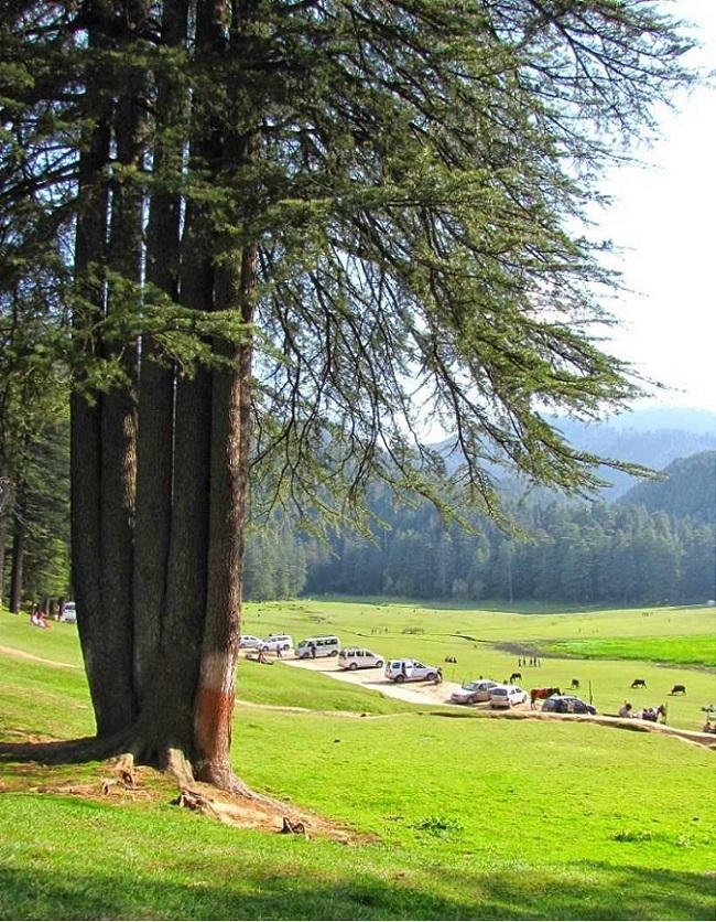 Khajjiar Himachal