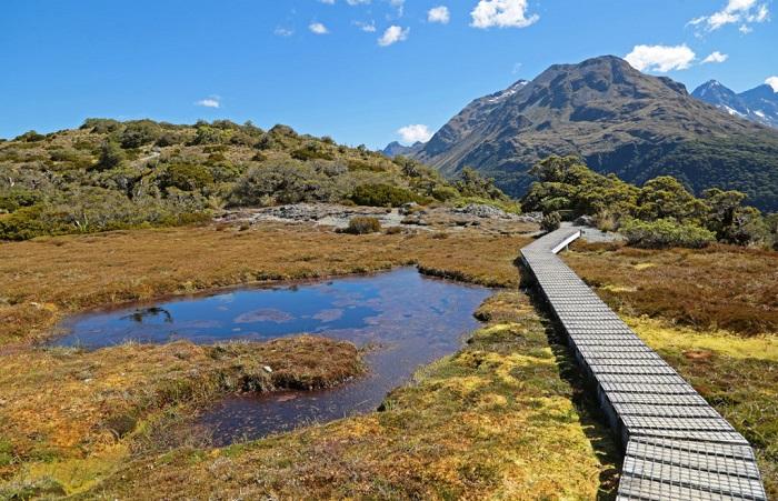 7 Best Hikes in New Zealand