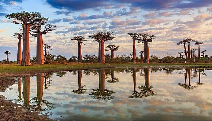 Madagascar- Country in east africa