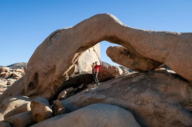 Joshua Tree Desert