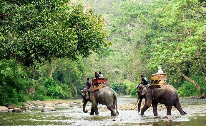 Manas National Park Assam