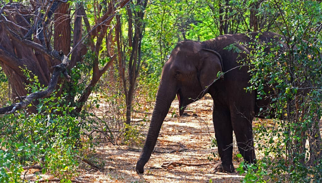 Idukki Kerala