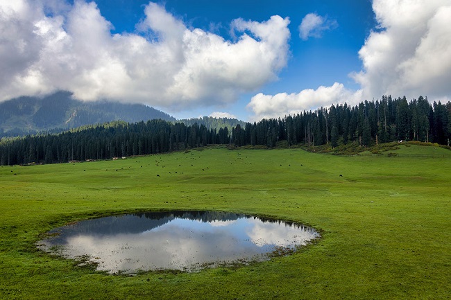 Doodhpathri Kashmir